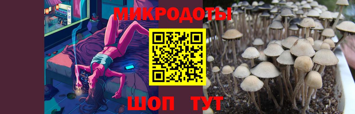 Воркута  где купить наркоту  Вход с VPN  Псилоцибиновые грибы Cubensis 