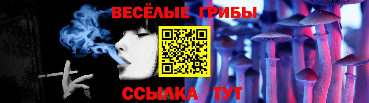 Галлюциногенные грибы Cubensis Воркута